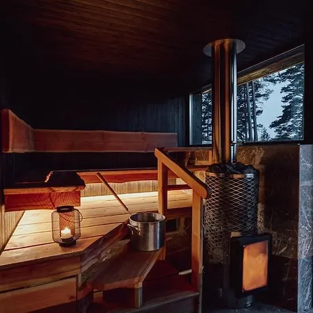 Saunamaeki - Frida * 萨罗